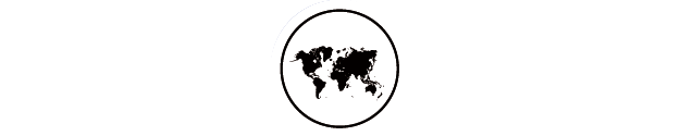 Virtual Campus of the Centre for Learning in Intercultural Effectiveness and International Assistance Policy